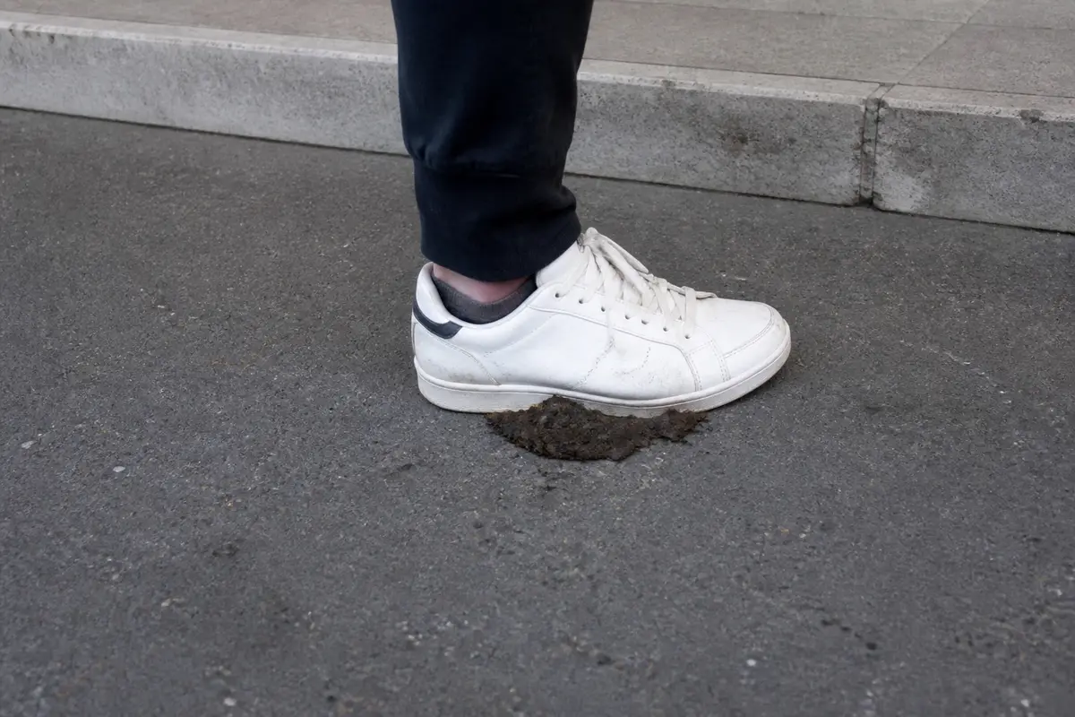 Marcher dans le caca du pied gauche : Porte‑t‑il bonheur ?